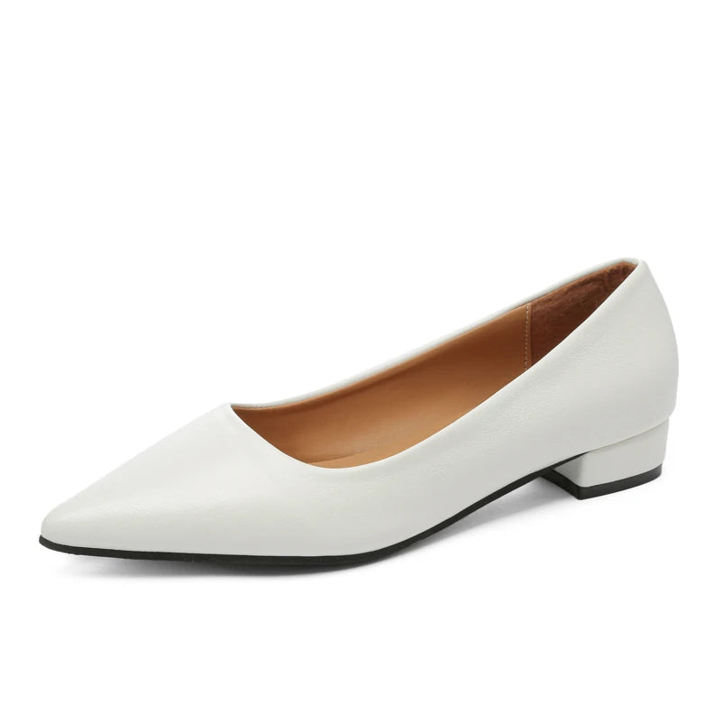 ELEGANT POINTED TOE SQUARE HEEL PUMPS