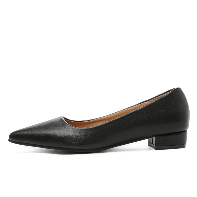 ELEGANT POINTED TOE SQUARE HEEL PUMPS